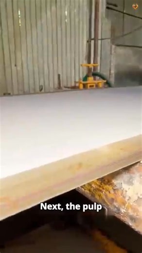 11 reactions · 8 comments | The Dirty Secret Behind Your Toilet Paper #cardboard #recycle #paper #outdooractivities #community | Susan Bolhano Mosura | Facebook