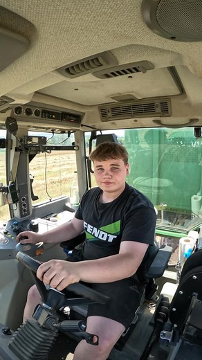 Dinkel Erntezeit mit Fendt 312 und Claas Medion 310