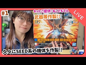 【LIVE】HG デスティニーガンダム(ハイネ専用機)作製①『ご提供：ねこともさん』
