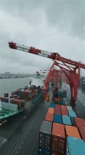 Mega Container Port Crane Collapse #portdisaster #cranecollapse #containerport #industrialfailure