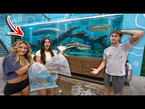 They Bought Monster Fish for the 2,000gal WAREHOUSE Tank?!