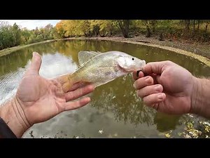 The Struggle to Find Fall Crappie