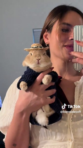 Fashionable Dwarf Bunny Takes Center Stage at Premiere