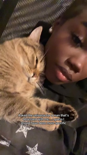 Realistic Cat Drawing Techniques for Beginners