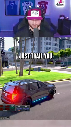 Cameron Smith on Instagram: "Best K9 Script in GTA RP HISTORY! 🔥🔥🔥 #k9script #k9 #pov #gtarp @officermesser"