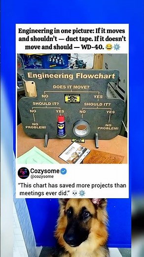 Engineering Flowchart That Solved 90% of Real-World Problems