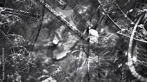 Abstract background of rotation steel threads with reflecting of light and environment. Animation of metallic technologies and industrial metal. Animation of seamless loop.