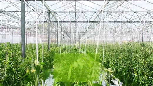 CropDefenders welcomes University of Windsor students for IPM insights | Crop Defenders Ltd posted on the topic | LinkedIn