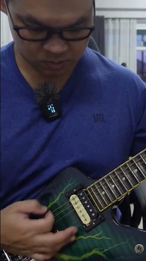 Washburn Dime 333 Dimebag Signature #guitar