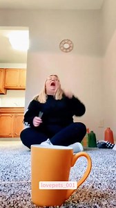 274K views · 8.4K reactions | Cats Understanding English ❤ | Cat Lover | Facebook