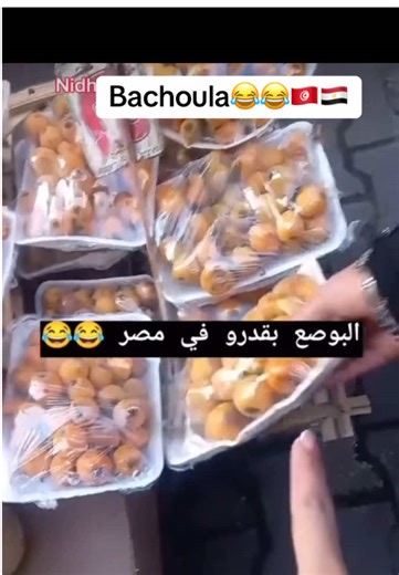 بشولة: ضحك وفكاهة تونسية 🇹🇳😂