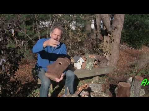 Build a Bird House from a Log.
