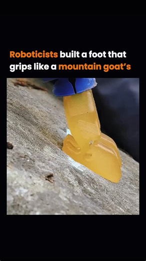 AI + Tech • News, Reels & Ideas on Instagram: "Goats mastered climbing. Engineers turned their feet into machines Nature solved the balance problem long ago. Cloven hooves with flexible pads. Hard outer shell. Soft center. Stick to rock, wet or dry. Now robotics teams are copying the same trick. This hoof-inspired foot molds to terrain. Slippery river stone. Jagged cliff face. Loose debris. One step, and it holds. Turns out the best climbing design was already on the mountain. 👇 If you learned 