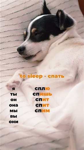 How to say "sleep" in Russian?