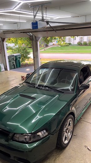 Nitrous Purge Complete: Fast Cars in Action