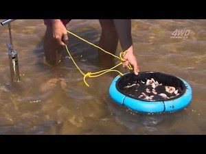 How to catch whiting with yabbies