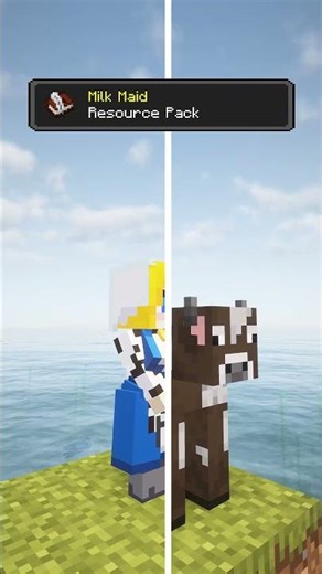 Minecraft Resource Packs | EP.95