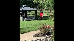 A short video of DAWG! | Detroit Animal Welfare Group (DAWG)