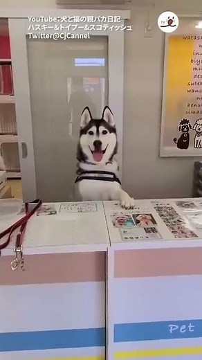 When I went to pick up my child... | PECO