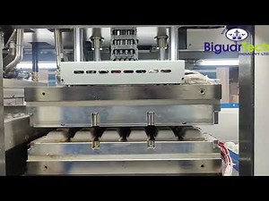 Revolutionary Sugarcane Bagasse Tableware Making Machine | Plant Video