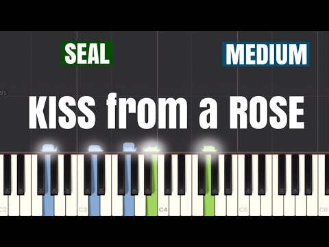 Seal - Kiss from a Rose Piano Tutorial | Medium