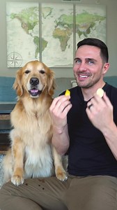 31K views · 1.9K reactions | The Flavorful Four! Mango vs Banana | Ellie Golden Life | Facebook