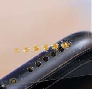 Easy yet useful hacks to simplify home routine | 5-Minute Crafts Family