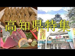 年間４００万人が訪れる高知県の絶品グルメ・見所を紹介！かつおのたたき・屋台餃子・高知城・ひろめ市場・高知アイス