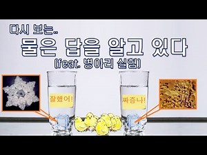 Revisiting the 'Water Knows the Answer' Experiment (feat. Chick Experiment)