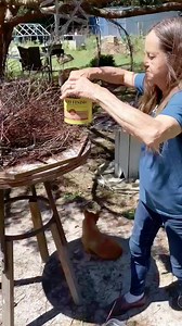 296K views · 1.9K reactions | Putting wood finish on the tree of life branches  #workinprogress #treeoflife #woodfinish #handmade #create #facebookreel | The Grapevine Lady | Facebook