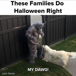 Families winning at Halloween | BuzzFeed