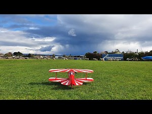 E-Flite Pitts S-1S 850mm