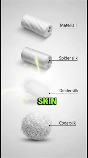 What If Human Skin Was Bulletproof ? Science Reveals the Cost