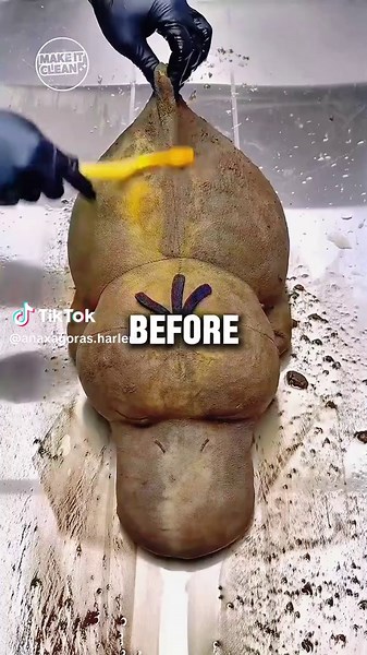 Funny Things to Say Before Anesthesia Kicks In