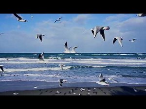 Patrick Coutin – COMME DE LA PLUIE – Official clip video