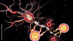 Supportive tissue of the nervous system. Neuron structure. Neuron, astrocyte (glial cell), oligodendrocytes, axon. 3D animation