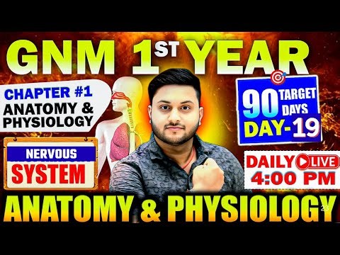 GNM 1st Year Anatomy & Physiology | 90 Days Crash Course | GNM Nursing Students Must Watch Day 19