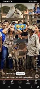 12 de março de 2026