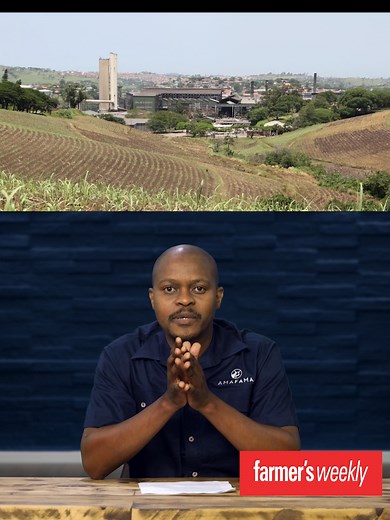 South Africa Agri News: Daybreak Foods, Red Meat Exports, Citrus Season
