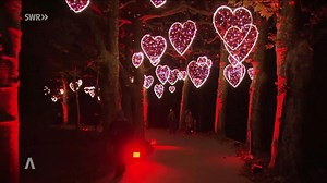Mainau: Christmas Garden beginnt