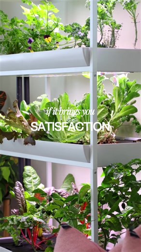 Hydroponic Garden Investment: Why Rise Garden Works