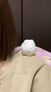 572K views · 9.7K reactions | And now he’s cotton all riled up : bunmomo5 (IG) #bird #birds #cottonball #voiceover #voiceovers #animalvoiceover #animalvoiceovers #comedy #comedyvideos #comedian #entertainment #funny #memes #funnymemes #meme #lol #humor #fun #funnyvideos #lmao #jokes #viral #trending #dadjokes #dustydubs | Dusty Dubs | Facebook