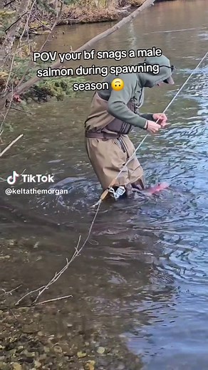 Unintentional Salmon Snagging in Alaska