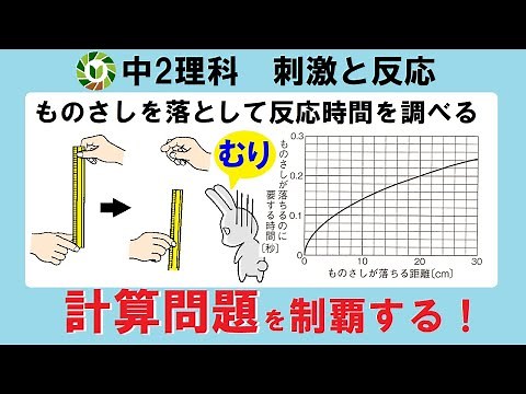 中２ 簡単すぎる！刺激と反応の計算問題