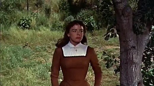 Darby O'Gill and the Little People(1959)