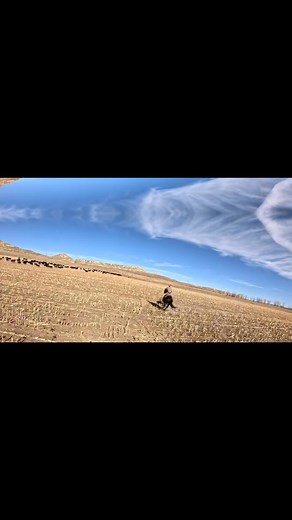 Pasture 3 part 1 | Jake Underwood