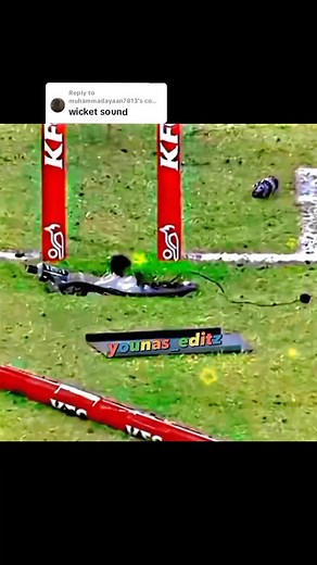 Cricket Wicket Sound Effects Compilation