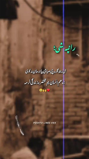 Emotional Poshto Lines for Connection and Support