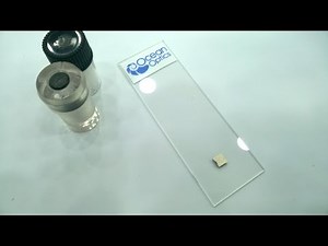 SERS Substrates for Raman Analysis of Chemical Analytes