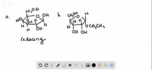 SOLVED:Classify each compound as a reducing or nonreducing sugar.
